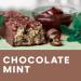 Buy ZonePerfect Protein Bars - 14g Protein 18 Vitamins & Minerals Chocolate Mint - Nutritious Snack - 12 Count (International Shipping Available - Buy Online on GoSupps.com
