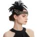 Z&X 1920s Feather Headband Gatsby Party Headpieces for Women Rhinestone 20s Roaring Hair Accessories (#015 Black) - Buy Online on GoSupps.com