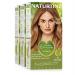 Natureint Biobased |Hair color oohne ammoniak |7.34 Living hazelnut |High proportion of natural ingredients3 pack |510 ml 7.34 lively hazelnut 170 ml (3 pack)