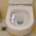 Toilet eners Rim Hanger | Bowl Toilet Deodorizer Rim Hanger | Quick Foaming -Cleaning Ball 4 Balls Included Toilet ener for Bathroom Toilet Care and Flush Cleaning - Buy Online on GoSupps.com