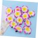Didiseaon Summer Hair Clips Flower Hairpin Hawaiian Hair Flower Clip Plumeria Hair Clips for Girls Girl Hair Clips Hair Pin Plumeria Hairpin for Girl Accessories Hibiscus Flower - Buy Online on GoSupps.com