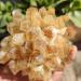 Crystals and Stones Natural Raw Citrine Quartz Crystal Cluster Yellow Irregular Specimen Home Decoration Aquarium Ornaments Crystal Cluster (Color : Yellow Size : 300-400g) 300-400g Yellow - Buy Online on GoSupps.com