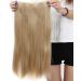 58cm Human Hair Clip-in Extensions | Medium Blonde Straight Hairpiece - 5 Clips 120g | Realistic & Easy to Use - Buy Online on GoSupps.com