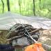 Onewind Premium 12ft Hammock Tarp Sleeve: Lightweight & Durable Rain Fly Snakeskin for Easy Storage. Ideal for Camping, Hiking, and Backpacking in Water Resistant OD Green - Buy Online on GoSupps.com