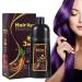 Hair Dye Shampoo Instant 3 in 1-100% Grey Coverage - Herbal Ingredients for Women & Men in Minutes 500mL 17.6 Fl Oz (Purple)