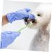 BESPORTBLE 1pc Pet Single Head Toothbrush Dog Toothbrush and Toothpaste Teeth Care Brush Cleaning Kits Plastic 1 count (Pack of 1) Random Color - Buy Online on GoSupps.com