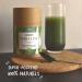 Organic Spirulina 100 g Superfood Rich in Vegetable Protein Source of Potassium Iron Fiber - Buy Online on GoSupps.com