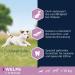 Eukanuba Puppy Food with Fresh Chicken for Small Breeds - Premium 3 kg Dry Dog Food for Junior Dogs - Buy Online on GoSupps.com