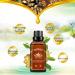 Buy 2 PCS Ginger Oil - Natural Massage Oil for Lymphatic Drainage & Skin Care (30ML) - International Shipping - Buy Online on GoSupps.com