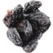 Pitted Prunes 500g (BWFO) - Buy Online on GoSupps.com