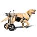 Dog Wheelchair Dog Wheelchair for Back Legs Walk Tool Adjustable Pet Wheelchair Assisted Walker Tool Pet Wheelchair Portable Medium