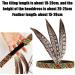 Indian Headband Headdress Feather Headband Native American Feather Headband Hair Band Headwear Headpiece Fashion Elegant Flapper Headband- Hair Decoration for Women Girls - Buy Online on GoSupps.com