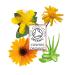 Pure Aloe Vera Macerated Oil Natural Body Face & Hair Moisturizing Oil for Massage | 100ml - Buy Online on GoSupps.com