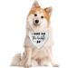 I Thought I Was the Baby Dog Bandana | Stylish Dog Scarf for All Sizes | Pregnancy Annion Design - White Opulent Garden - Buy Online on GoSupps.com