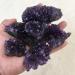 1pc Natural Stone Uruguay Amethyst Quartz Crystal Cluster Specimen Home Furnishing Decoration (Size : 100-120g) - Buy Online on GoSupps.com