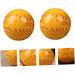 Tovinanna 2-Piece Health Ball Set | Fitness & Massage Balls for Muscle Relief & Acupuncture | International Shipping - Buy Online on GoSupps.com