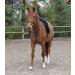 Waldhausen Star Martingal - SH Schwarz | Premium Equestrian Gear | International Shipping Available - Buy Online on GoSupps.com