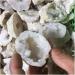 Stone Crafts Natural Agate Crystal Gemstone Cavern Reiki Crystal Stone geode Wrapping Pendants Natural Luster - Buy Online on GoSupps.com