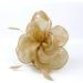 FRCOLOR Fascinator Feather Headband / Clip Party Wedding Royal Ascot Races Hair Accessories Headdress (Golden) - Buy Online on GoSupps.com
