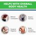 VITASEI Body Detox Capsules - Ultimate Cleanse Support with Cascara Sagrada, Psyllium Husk, Senna Leaves, Flax Seed Powder - 60 Count - Colon Cleanse and Detox Dietary Supplements - Buy Online on GoSupps.com