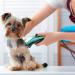 BESTBOMG Pet Clipper Blades - 1.5mm Stainless Steel Ceramic Blade Compatible with Oster, Wahl, Andis Dog Clippers - Buy Online on GoSupps.com