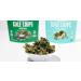 Rhythm Superfoods Kale Chips Variety Pack - Original, Zesty Nacho, Kool Ranch, Mango Habanero - 2.0 Oz (Pack of 4) - Organic, Non-GMO, Vegan, Gluten-Free Superfood Snacks - Buy Online on GoSupps.com