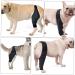 Sosoport Dog Leg Braces for Foreleg Canine Rear Hock Knee for Dogs Knee Pads Puppy Kit M As Shown - Buy Online on GoSupps.com
