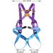 PURRL Climbing Harness for Adults - Full Body Safety Belt for Mountaineering & Outdoor Aerial Work - Buy Online on GoSupps.com