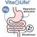 Vita4Life! - Premium Magnesium Citrate High Absorption Capsules (240 Count) - Buy Online on GoSupps.com