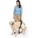 PetSafe CareLift Hip Lifting Harness for Dogs | LL Size Hip Support Aid with Handle & Shoulder Strap - International Shipping Available - Buy Online on GoSupps.com