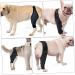 CORHAD Pet Injury Knee Puppy Brace Elbow and Knee Pads Dog Knee Cover Butter Care L As Shown - Buy Online on GoSupps.com