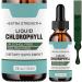 RUSTOO Liquid Chlorophyll Concentrate - Natural Energy Boost & Immune System Support - Buy Online on GoSupps.com