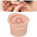 Display Ear Model Reusable Simulated Silicone Practice Ear Model Portable Elastic for Jewelry Store for Beginner(Right) - Buy Online on GoSupps.com