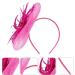 Elegant Rosy Fascinator Hat with Feather & Net | Derby Tea Party Headwear for Women & Girls - Perfect Wedding Accessory - Buy Online on GoSupps.com