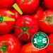 Dolmio Bolognese Intense Spicy Chilli Tomato Pasta Sauce 500g - Pack of 1 - Buy Online on GoSupps.com