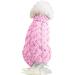 Shop Famkit Pink Pet Dog Roll Collar Sweater - Warm Fashion Knitwear & Outwear for Small Dogs (M-2: 5.5-7.7lb) - Buy Online on GoSupps.com