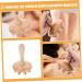 Shop Sewoart 2-in-1 Meridian Massage Brush & Body Stimulator | Hair & Scalp Care for Thick Hair | Long Handle Lotus Seed Design - Buy Online on GoSupps.com