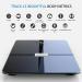 RENPHO Premium Wi-Fi Bluetooth Smart Scale with 13 Body Metrics | Dark Blue - Buy Online on GoSupps.com