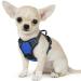 Eagloo dog harness Small dogs anti -train dog harness with reflex strips and control adjustable adjustable and durable breast harness dog suitable for walking and jogging blue XS XS (1 Pack) blue