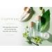 Rootree Cryptherapy Recovery Essence 50ml - Revitalize & Restore Skin - Buy Online on GoSupps.com