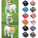 Adjustable Dog Baseball Cap for Summer - Breathable Sun Protection Hat for Puppies & Dogs (S-XL Black) - Buy Online on GoSupps.com