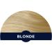 KeraFiber Professional Blonde Hair Fibres - Natural Keratin Hair Building Fibres for Men and Women - 12g Pack - Full Head of Hair in 30 Seconds - Buy Online on GoSupps.com