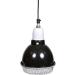 TRIXIE UV-B Radiation Clamp Lamp for Terrariums - 75W E27 Socket Protective Grille | International Shipping Available - Buy Online on GoSupps.com