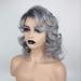 Buy European & American Short Curly Gray Ash Chemical Fiber Wig for Women | Headgear | Best Quality & Style - Buy Online on GoSupps.com