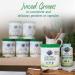Garden of Life RAW Perfect Food Green Superfood - 240 Vegan Juiced Greens Capsules - Buy Online on GoSupps.com