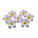 12 women girls 6 cm Hawaii Hawaii Bohemia style frangipani flower made of foam hair clips decoration hair clip for wedding party beach vacation violet