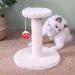 Premium Cat Tree with Plush Seats & Sisal Scratch Column | Climbing Furniture for Cats | International Shipping Available - Buy Online on GoSupps.com