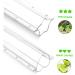 Toddmomy 16 Pcs Shaped Growth Mold Fruit Shaping Mold Star Cucumber Shaper Vegetable Shaping Mold Christmas Candy Clear Heart- Shaped Cucumber Growth Forming Star Shape Accessories Plastic As Shownx4pcs mediumx4pcs - Buy Online on GoSupps.com