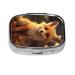 Cute Fox Printing 2 Compartment Small Pill Case Cute Small Pill Box Purse Pill Boxs Travel Pill Organizer for Pocket Purse and Travel Gifts