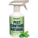 Natural Bug & Insect Repellent Spray Mint- 100% Natural Safe Non-Toxic Spiders, Ants, House Roach, Fleas, etc  Fast Acting Pest Control Spray Organic Cedar Lemongrass (32 Ounce) 8 Pound (Pack of 1)